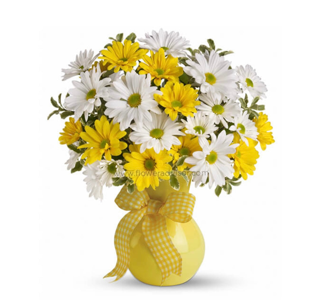 daisy in a vase