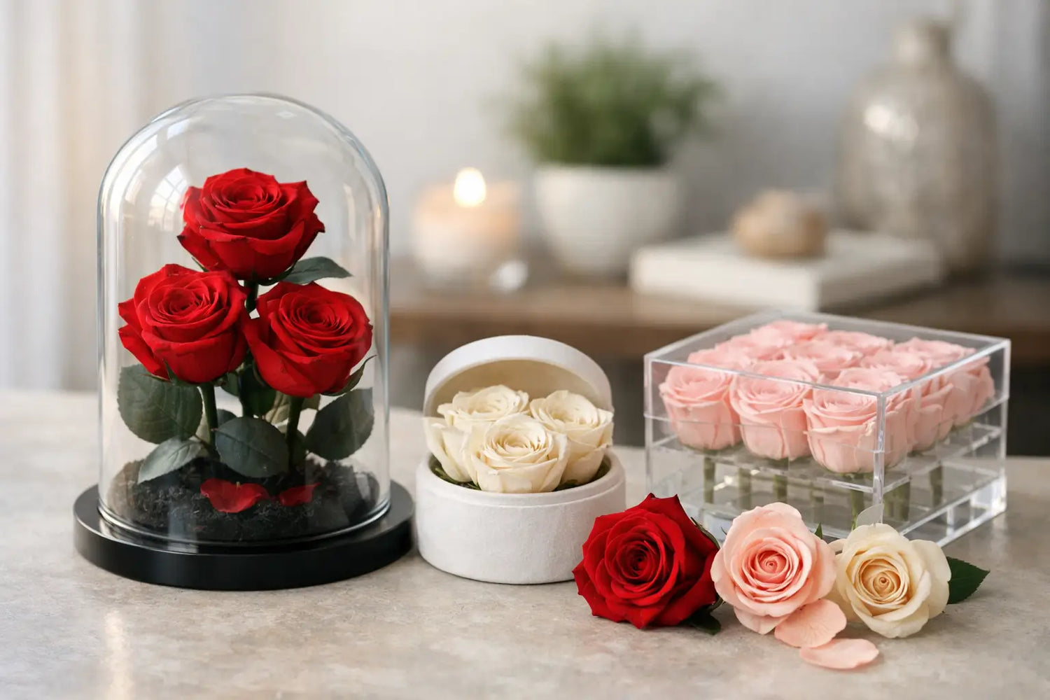 How Long Do Preserved Roses Last at Home?