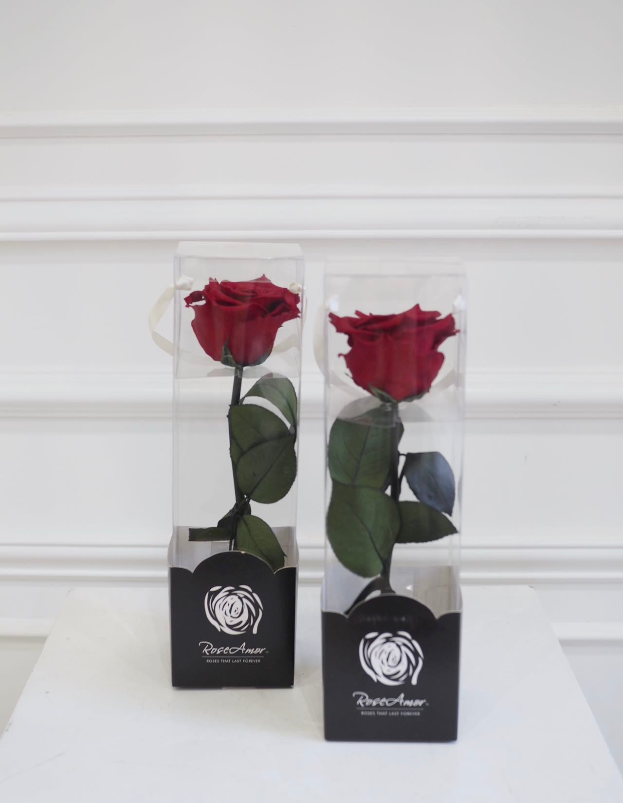 Preserved Red Rose - Single Stem