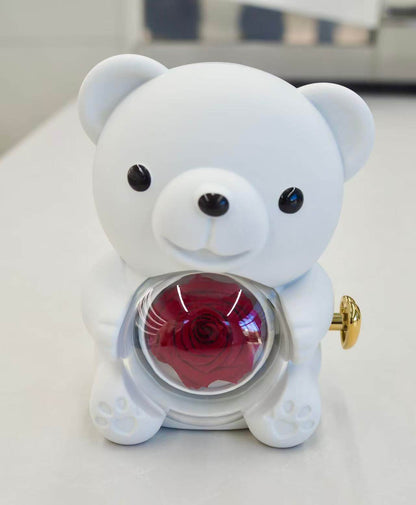 P13. BEAR Jewelry Gift Box with Red Preserved Rose