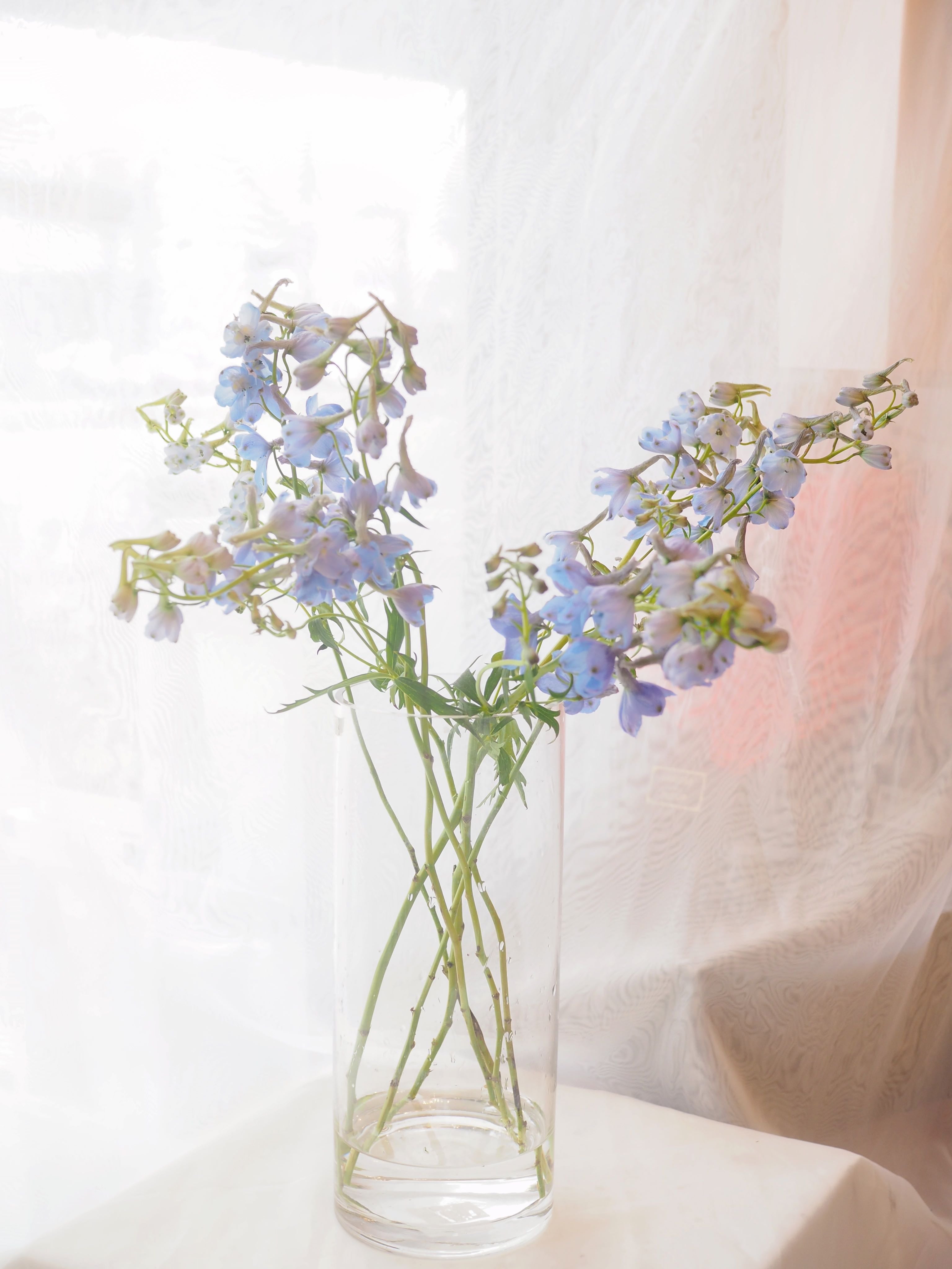 Clear glass vase with a delicate light violet flower by La Rose Fleur, a touch of understated elegance.