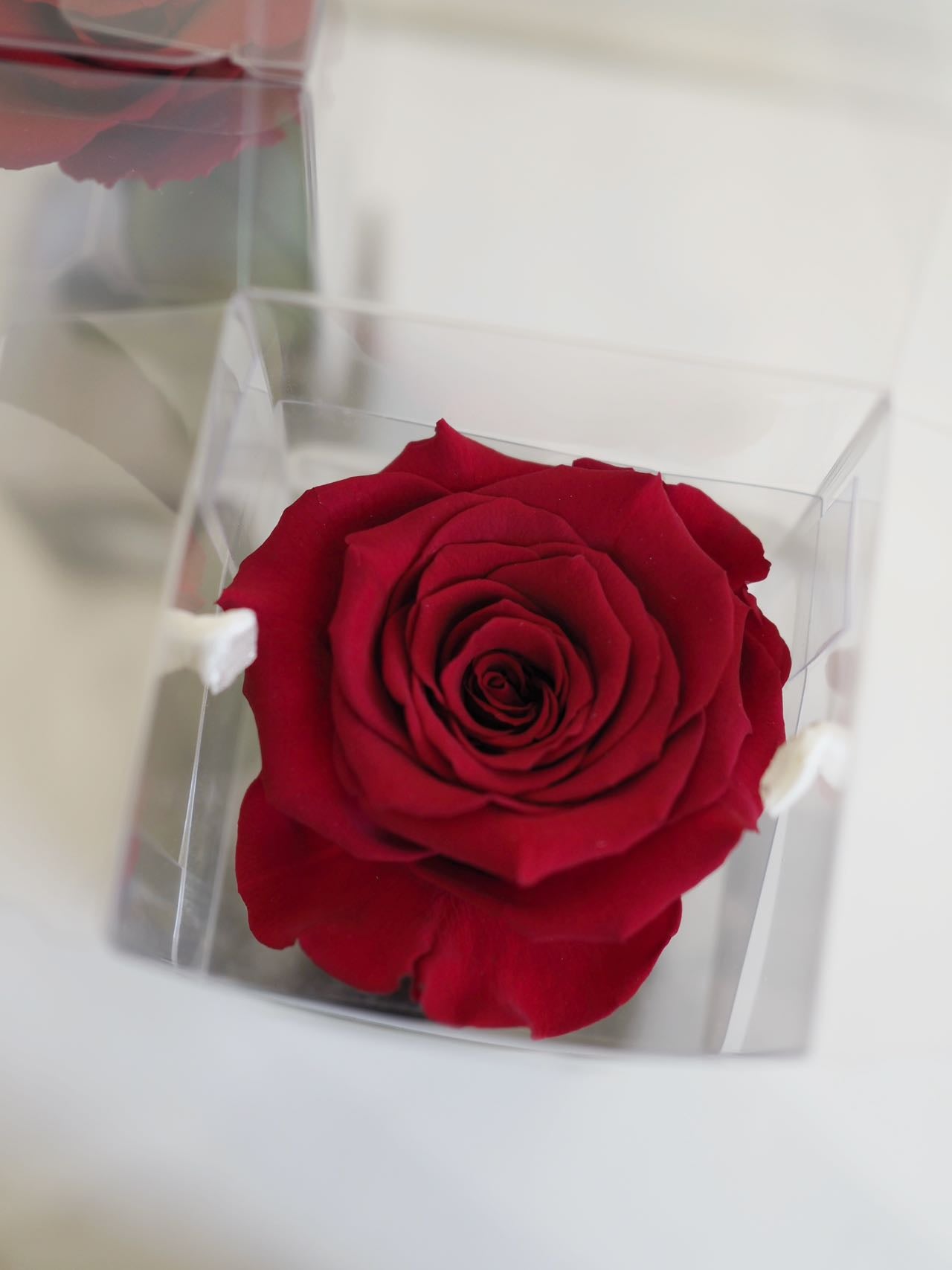 Preserved Red Rose - Single Stem