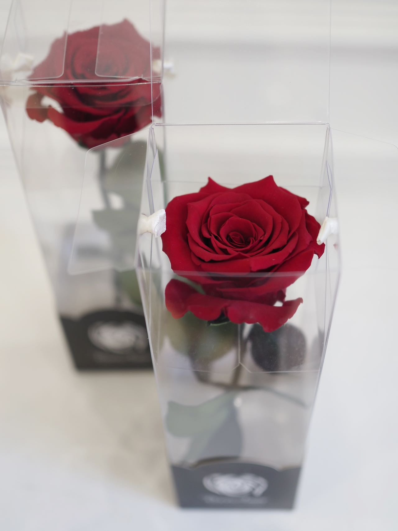 Preserved Red Rose - Single Stem